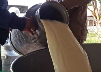leche