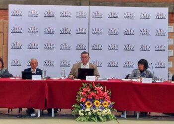 Mesa técnica del INE concluye en que los datos del Censo son ‘coherentes’