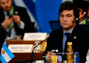Javier Milei en el G20