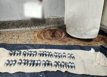 En Argentina cuatro bolivianos son detenidos con 431 cápsulas de droga