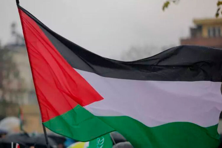 palestinos.jpg