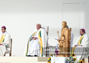 papa_ciere_vivita_belgica.jpg