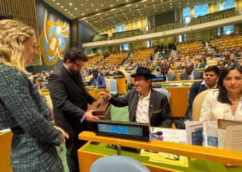 Bolivia será miembro de la Comisión de Derecho Mercantil de la ONU