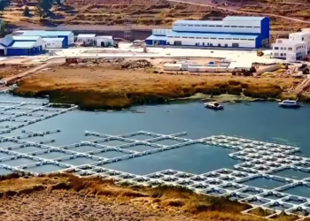 Arce informa que la planta piscícola en el lago Titicaca alcanza el 90% de avance