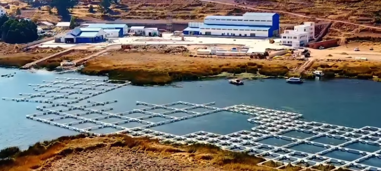 Arce informa que la planta piscícola en el lago Titicaca alcanza el 90% de avance