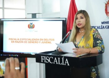 Es capturado en Santa Cruz un extranjero vinculado a la pornografía infantil