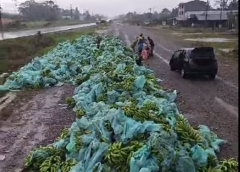 Productores de banana arrojan toneladas de fruta en la carretera debido a bloqueos