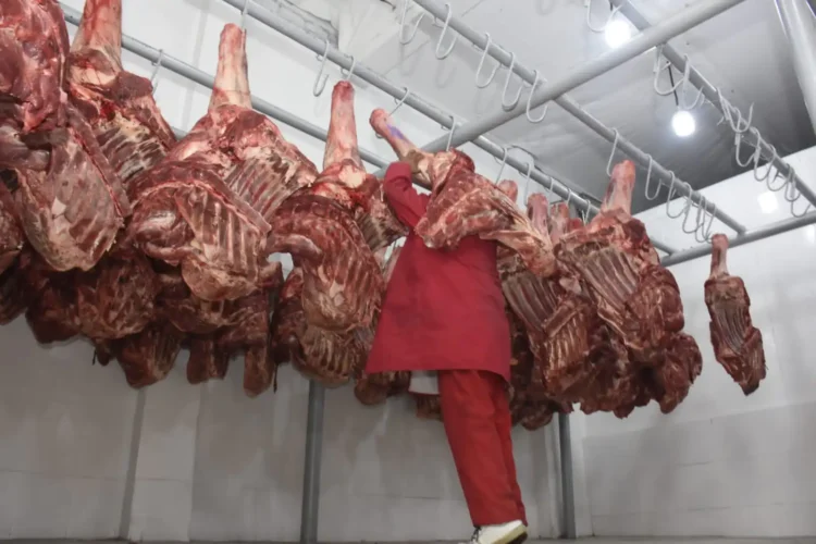 carne