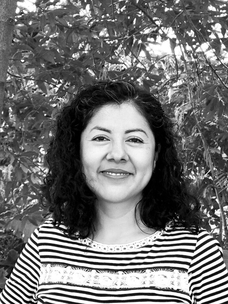 Mujeres que cuidan el bosque