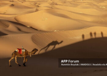 sahara.jpg