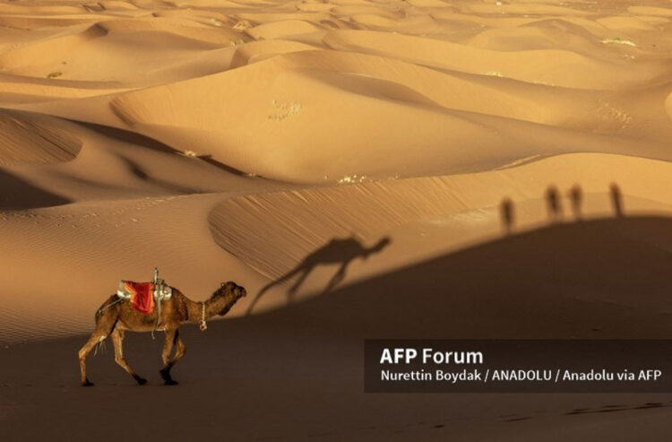 sahara.jpg
