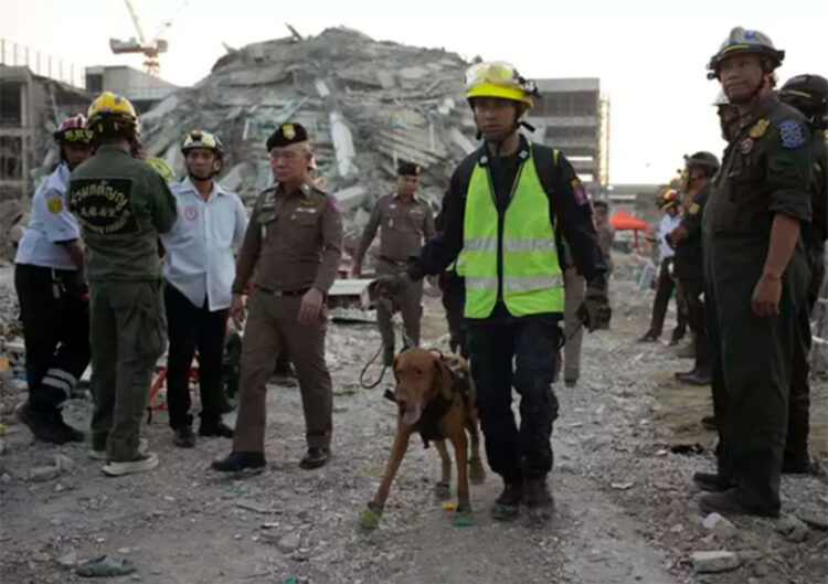 terremoto_birmania.jpg