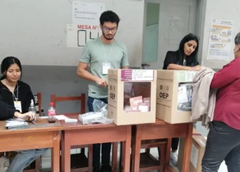 Elecciones nacionales: de 20 precandidatos, ocho son rostros nuevos