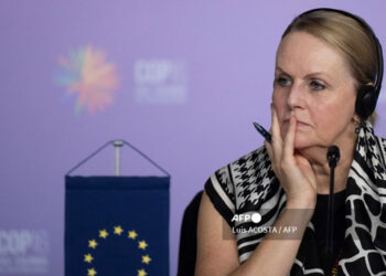 ue_cop16.jpg