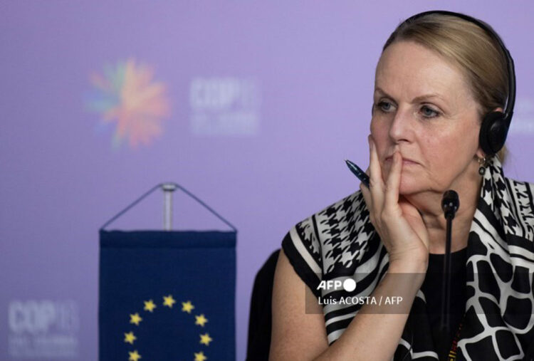 ue_cop16.jpg