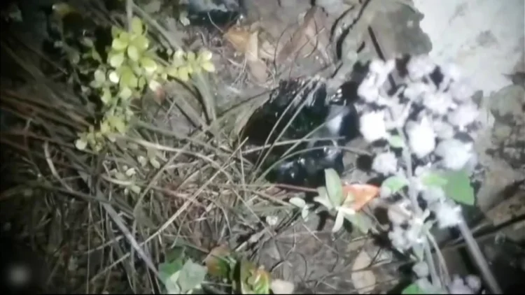 Se encontraron velas y otros objetos en el cerro Picacho/RRSS