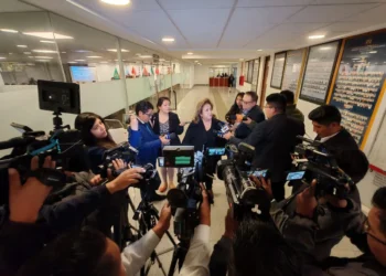 La legisladora dijo que una comisión viajará a Santa Cruz/Cámara de Diputados