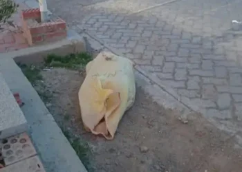 El cuerpo sin vida de una mujer fue hallado dentro de una bolsa en la zona Pacajes Caluyo, en El Alto. FOTO: RRSS