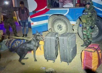 'Tango' detectó droga en dos maletas/FELCN