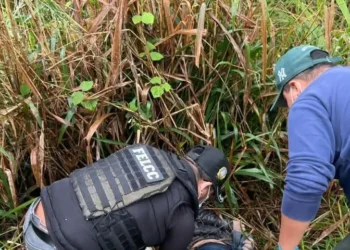 El cuerpo estaba entre unos matorrales/RRSS