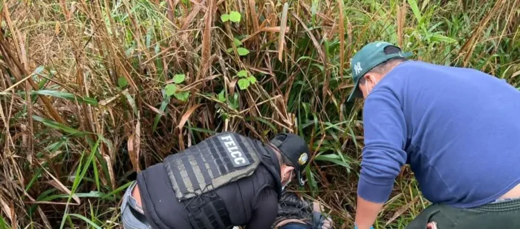 El cuerpo estaba entre unos matorrales/RRSS