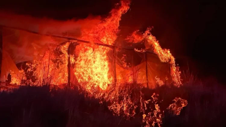 Los viveros fueron destruidos por la FELCN/FELCN