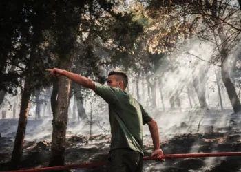 Bomberos forestales luchan contra las llamas/AFP