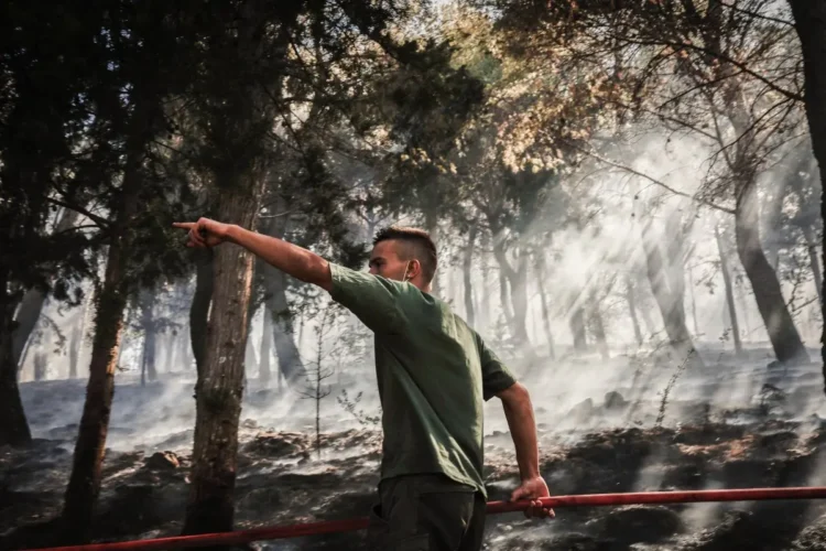 Bomberos forestales luchan contra las llamas/AFP
