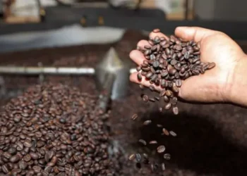 Mercado asegurador supera los $us 1.000 millones