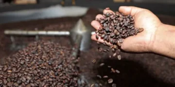 Mercado asegurador supera los $us 1.000 millones