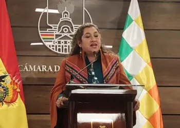 Senadora anuncia proceso penal contra diputado evista por acoso político