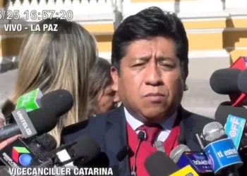 Vicecanciller señala que agresiones evistas fueron denunciadas a nivel internacional