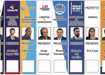 Piden inhabilitar a cinco autoridades por no renunciar a tiempo