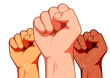La encrucijada del derecho, la democracia y el poder