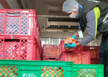Gobierno decomisa 1.200 unidades de pollo de contrabando