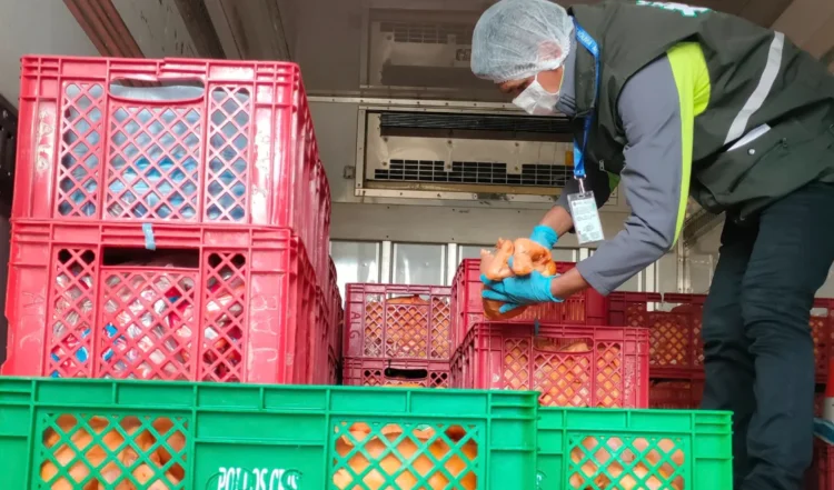 Gobierno decomisa 1.200 unidades de pollo de contrabando