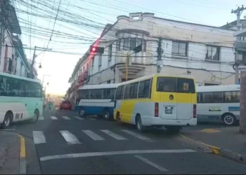 sucre.jpg