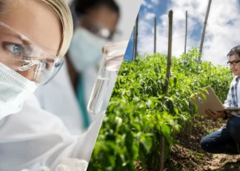 Lanzan Legado 2025, programa que potencia emprendimientos