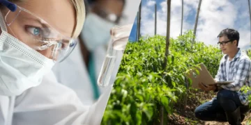 Lanzan Legado 2025, programa que potencia emprendimientos
