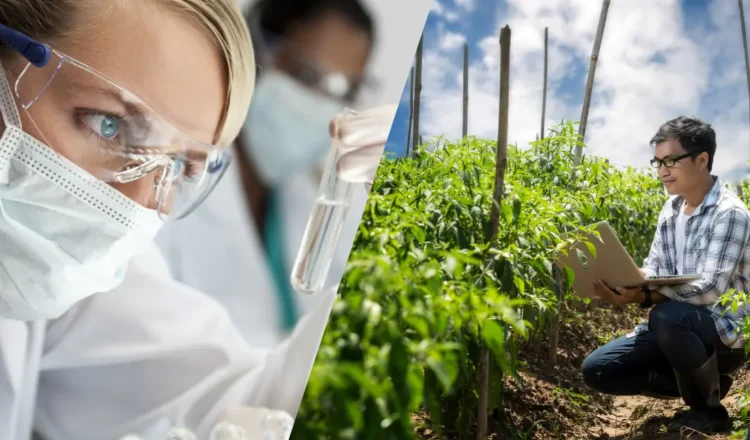 Lanzan Legado 2025, programa que potencia emprendimientos