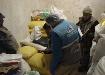 Alcaldía suspende dos negocios en El Tejar por heces de ratón 