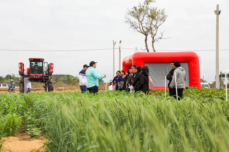 Expoagro