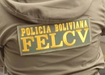 felcv_santaCruz.jpg