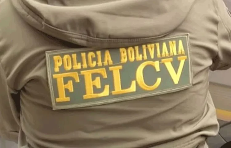 felcv_santaCruz.jpg