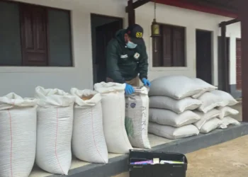 Incautan contrabando por más de Bs 346.000 en Pando y Cochabamba