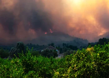 incendio_turquia.jpg