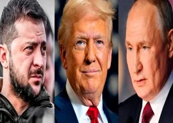 zelenski_trump_putin.jpg