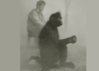 Nick Brandt retrata a animales de Senda Verde impactados por el cambio climático