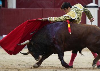 Corridas de toros: Ciudad de México cerca de abolir una tradición de 500 años