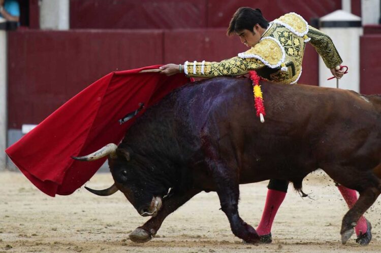 Corridas de toros: Ciudad de México cerca de abolir una tradición de 500 años